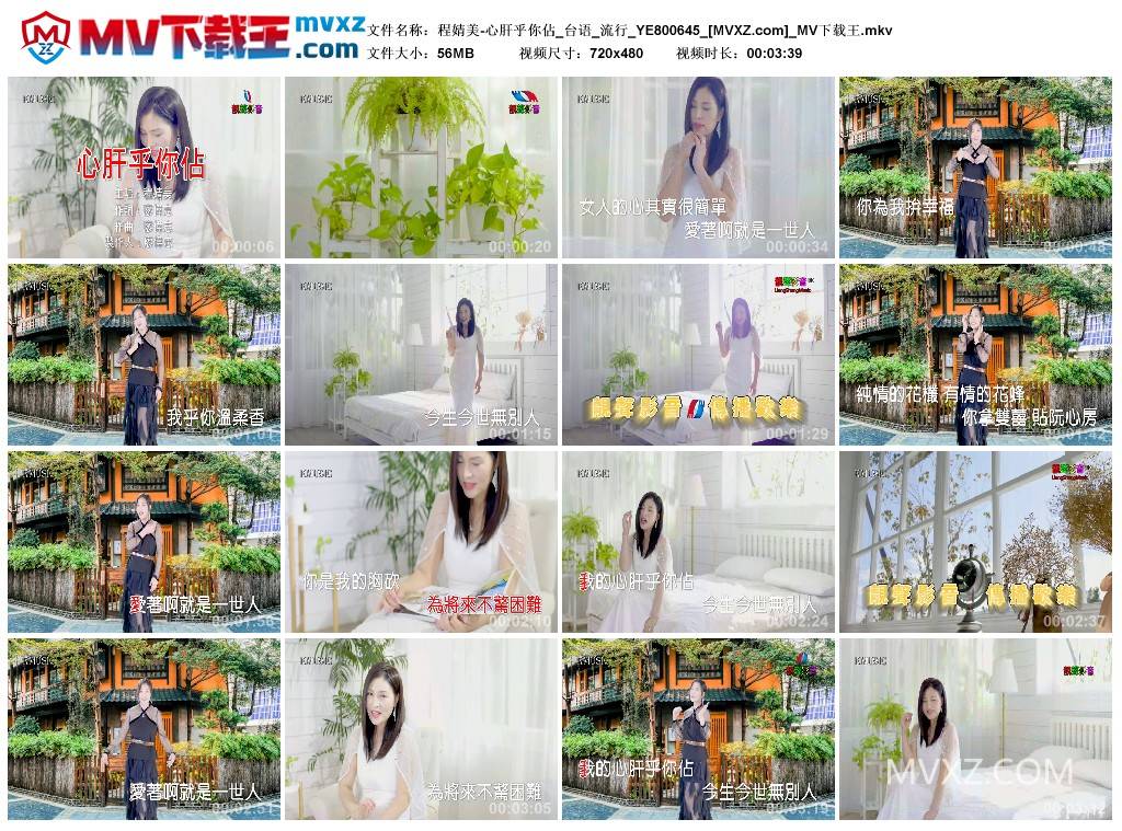 程婧美-心肝乎你佔_台语_流行_YE800645